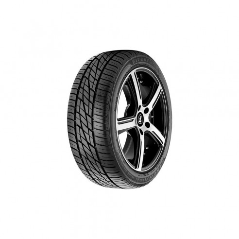 Firestone Wild Firehawk Durable Tyre Black